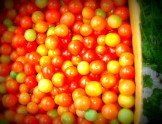 Beautiful Cherry toms