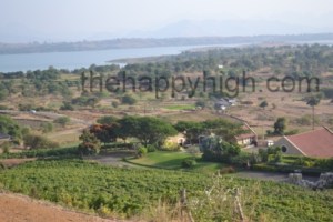 Grover Zampa Wine Tour (10)